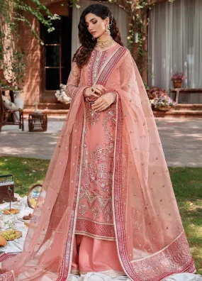 Akbar Aslam Organza Suit