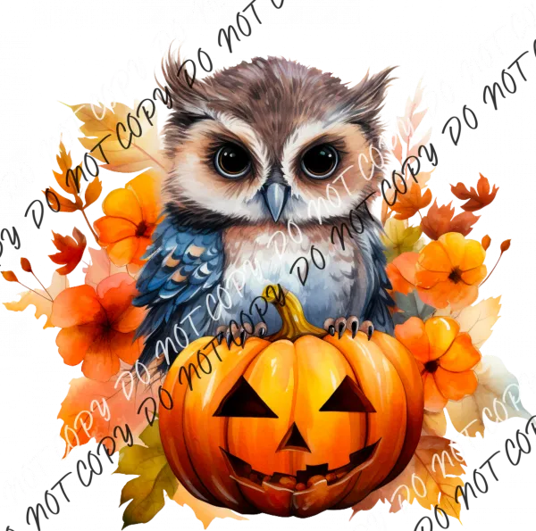 Autumn Owl on a Pumpkin DTF Transfer