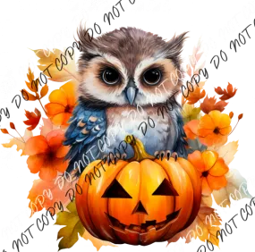 Autumn Owl on a Pumpkin DTF Transfer