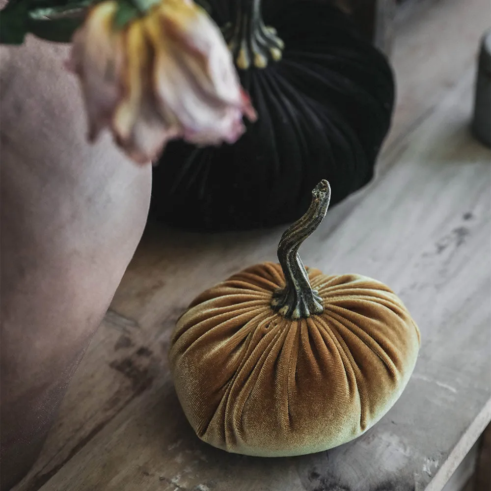 Autumn Velvet Pumpkin