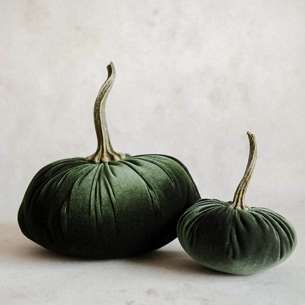 Autumn Velvet Pumpkin