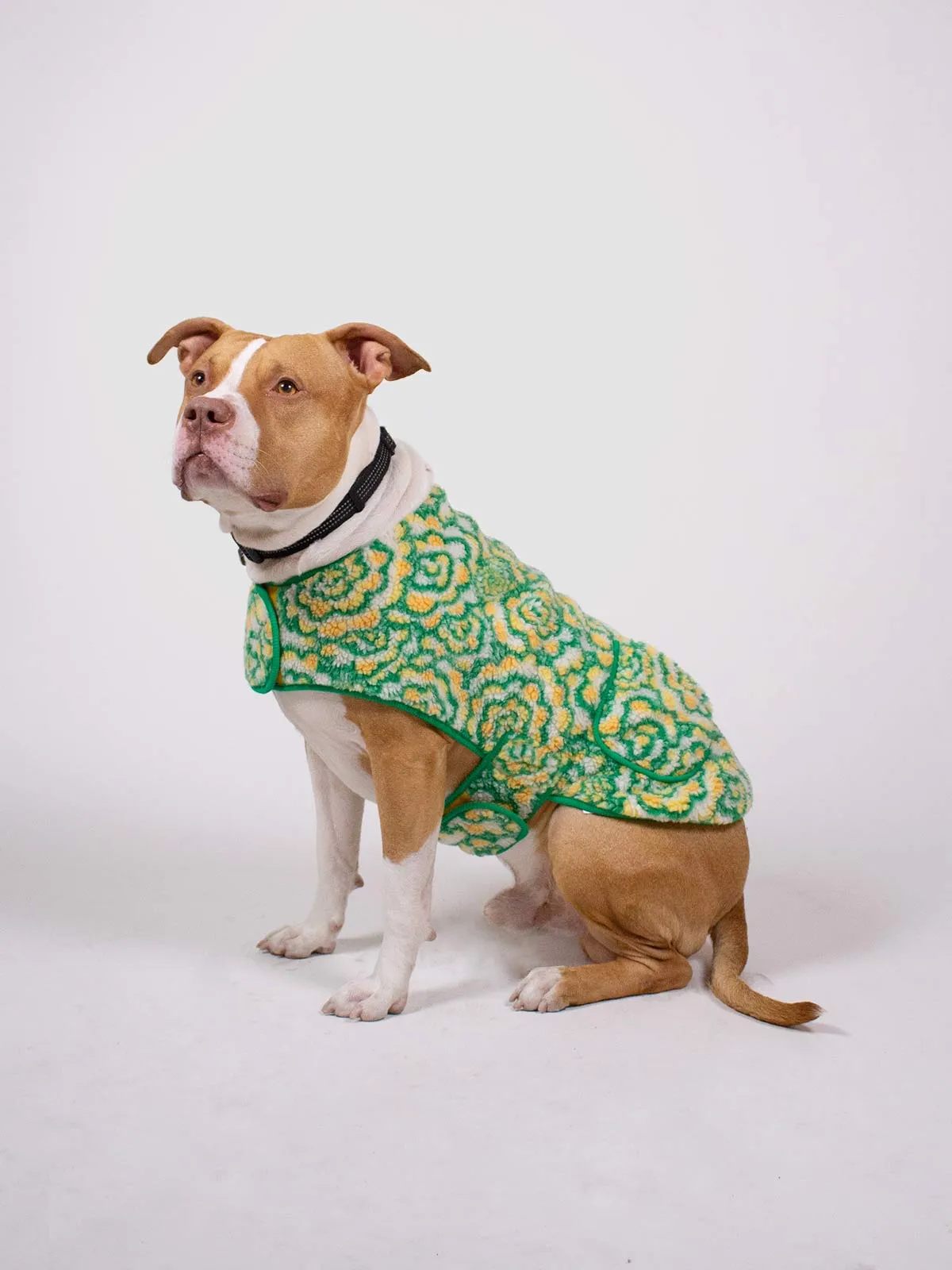 Broccoli Big Doggie Fleece