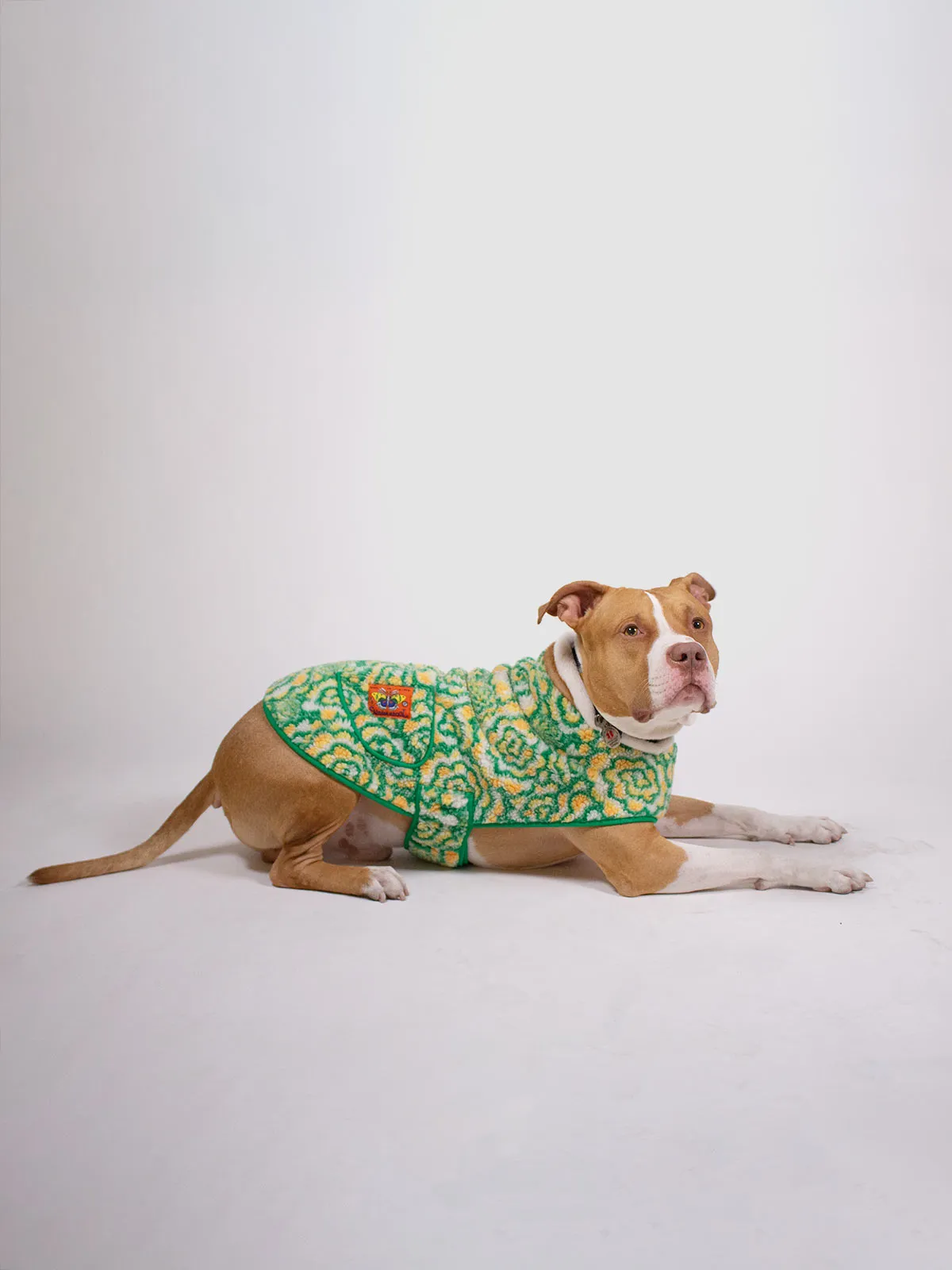 Broccoli Big Doggie Fleece