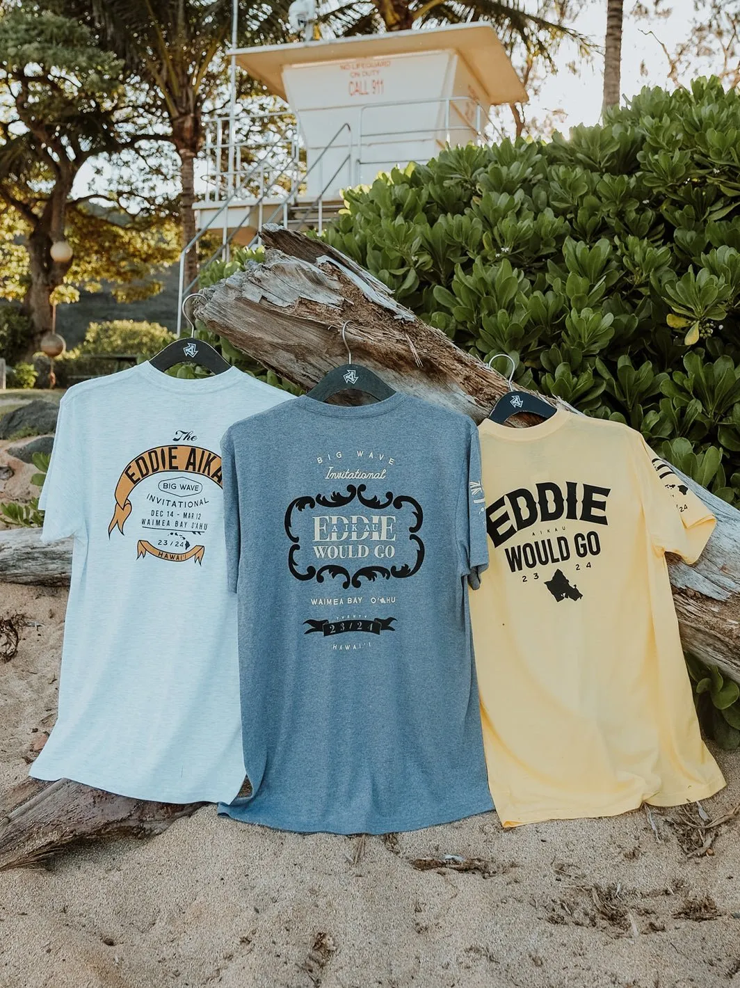 Eddie Would Winter 23/24 Jersey Tee