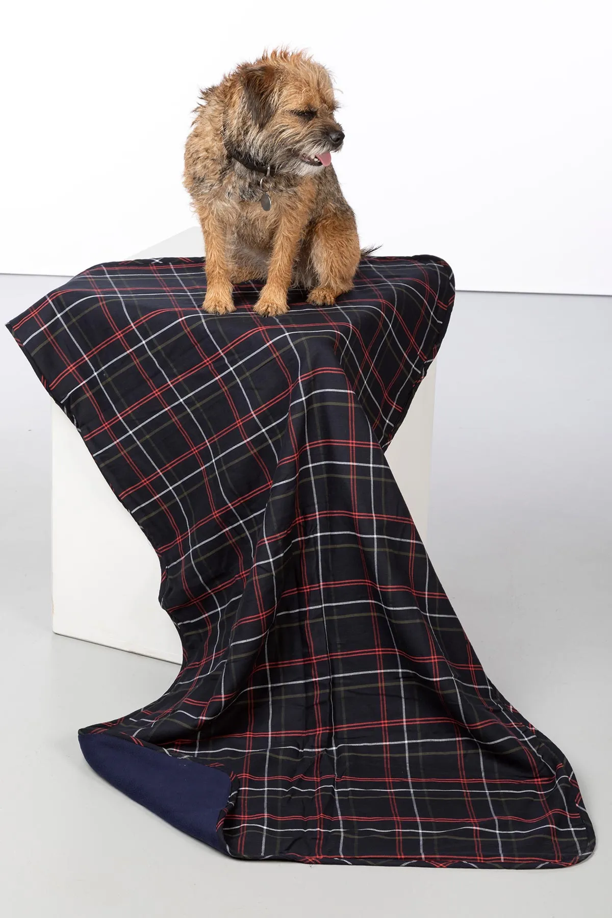 Fleece Dog Blanket - Yapham