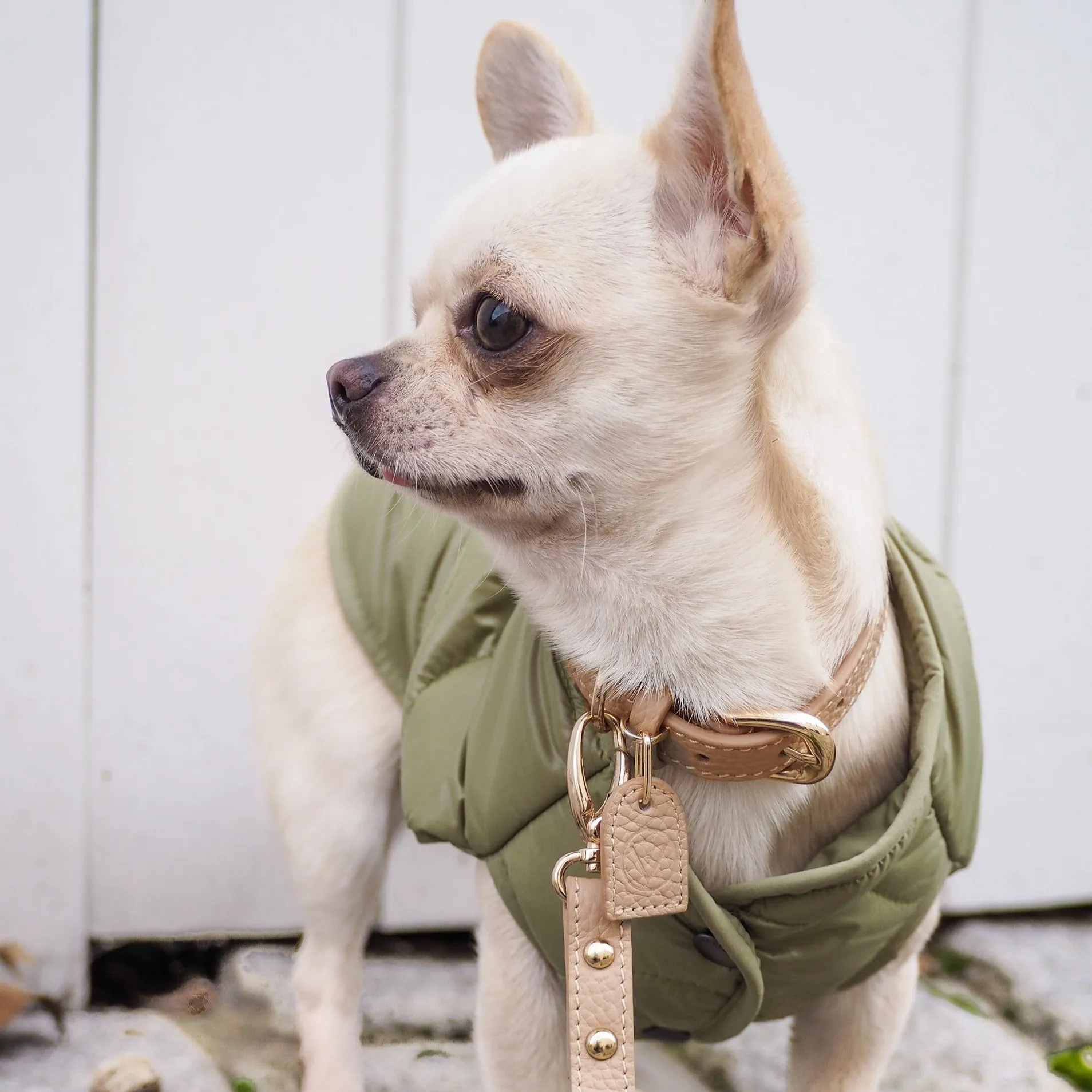 Leather Collar